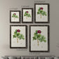 Pretty Pink Botanicals III - Premium Framed Canvas 2 Piece Set - Ready to Hang