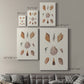 Knorr Shells & Coral VI Premium Gallery Wrapped Canvas - Ready to Hang