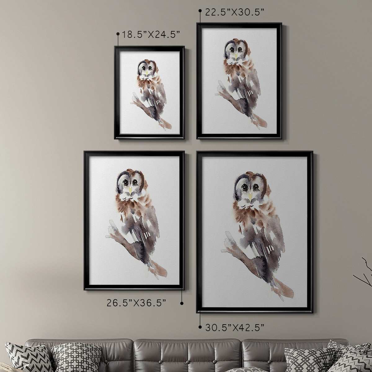 Barred Owl Impressions II - Modern Framed Canvas Print