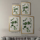 Forest Foliage on Linen II - Modern Framed Canvas Print