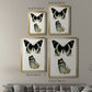 Antique Blue Butterflies I - Modern Framed Canvas Print