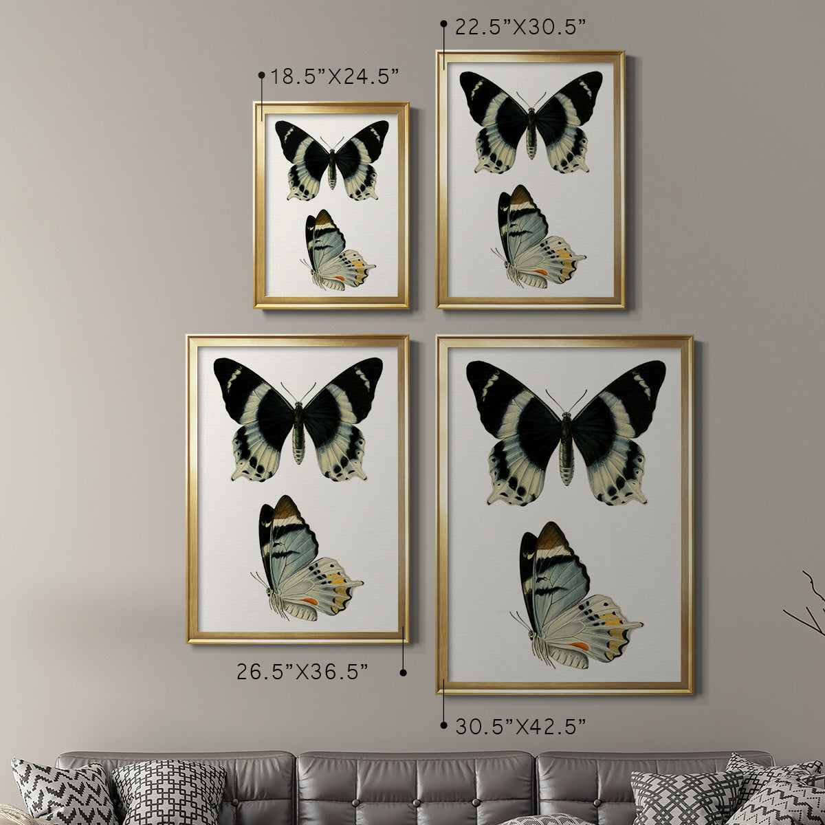 Antique Blue Butterflies I - Modern Framed Canvas Print