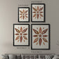 Spiral Shell Formation I - Modern Framed Canvas Print