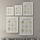 Herbs and Flowers - Premium Framed Canvas 2 Piece Set - Ready to Hang