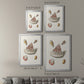 Pastel Knorr Shells VII - Modern Framed Canvas Print