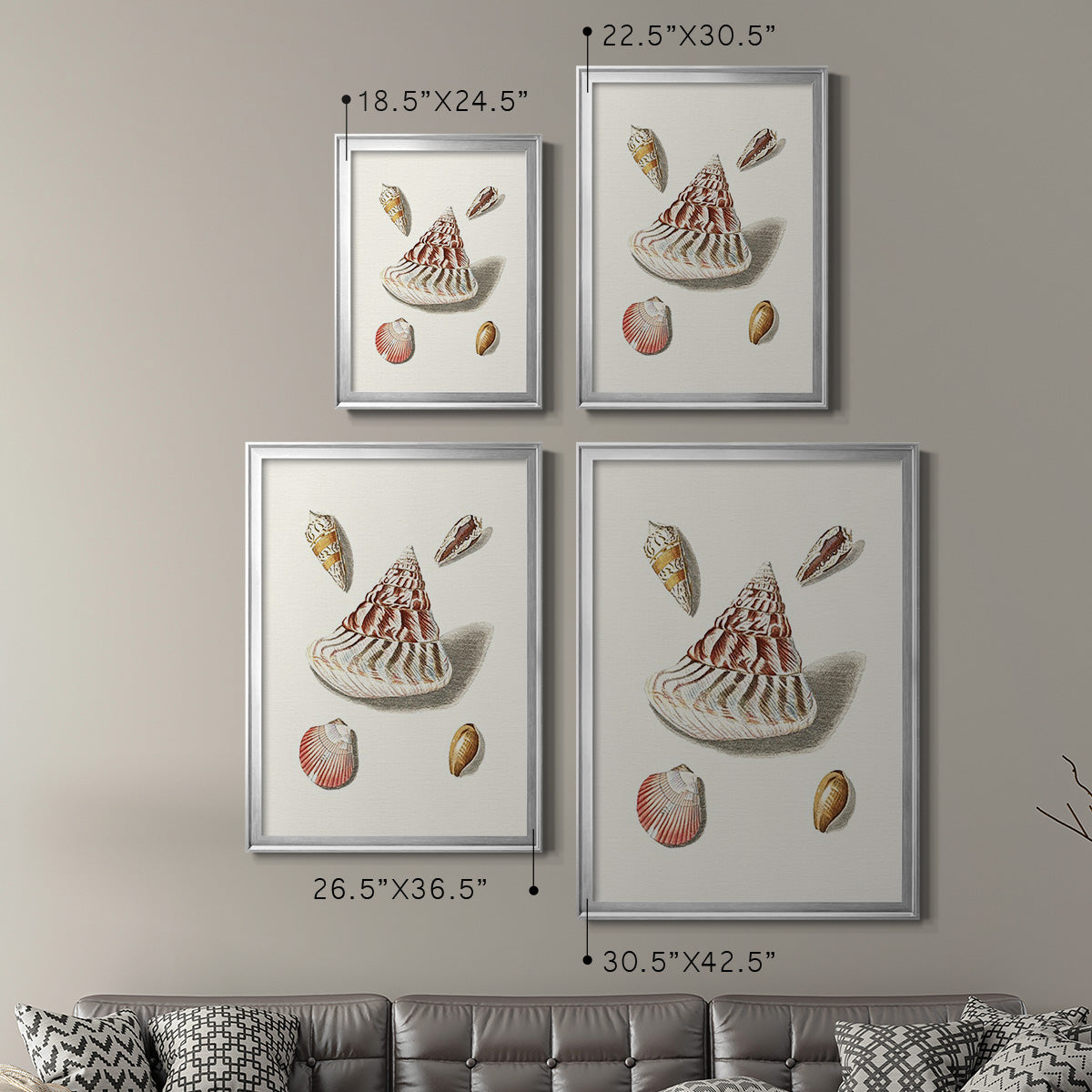 Pastel Knorr Shells VII - Modern Framed Canvas Print