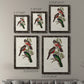 Elegant Trogons V - Premium Framed Canvas 2 Piece Set - Ready to Hang