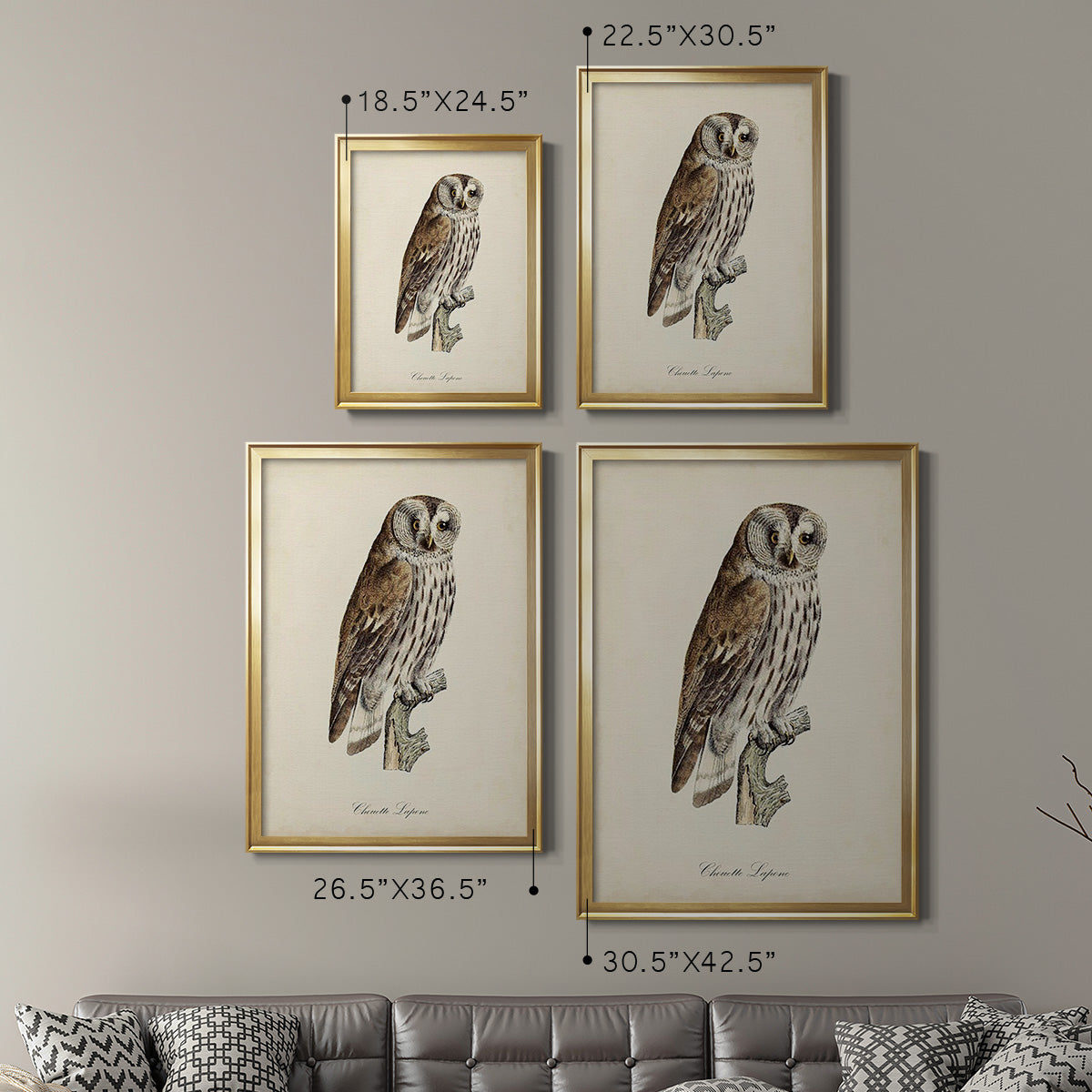 French Owls III - Modern Framed Canvas Print