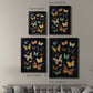 Collected Flutter III - Modern Framed Canvas Print