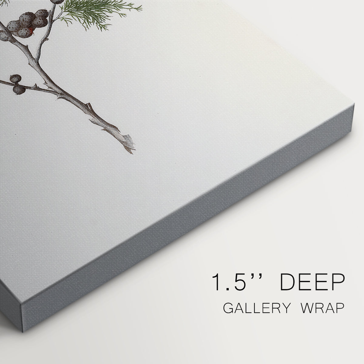 Midnight of Silver Morning - Canvas Art Print