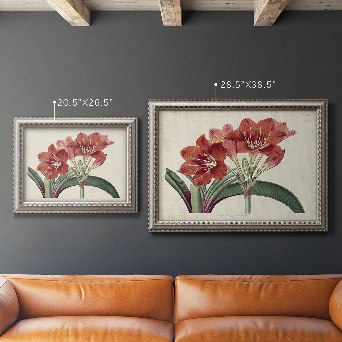 Vintage amaryllis botanical illustration in an ornate vintage silver frame shown in multiple size options.