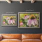 Echinacea flower botanical photography in an ornate vintage silver frame shown in multiple size options.