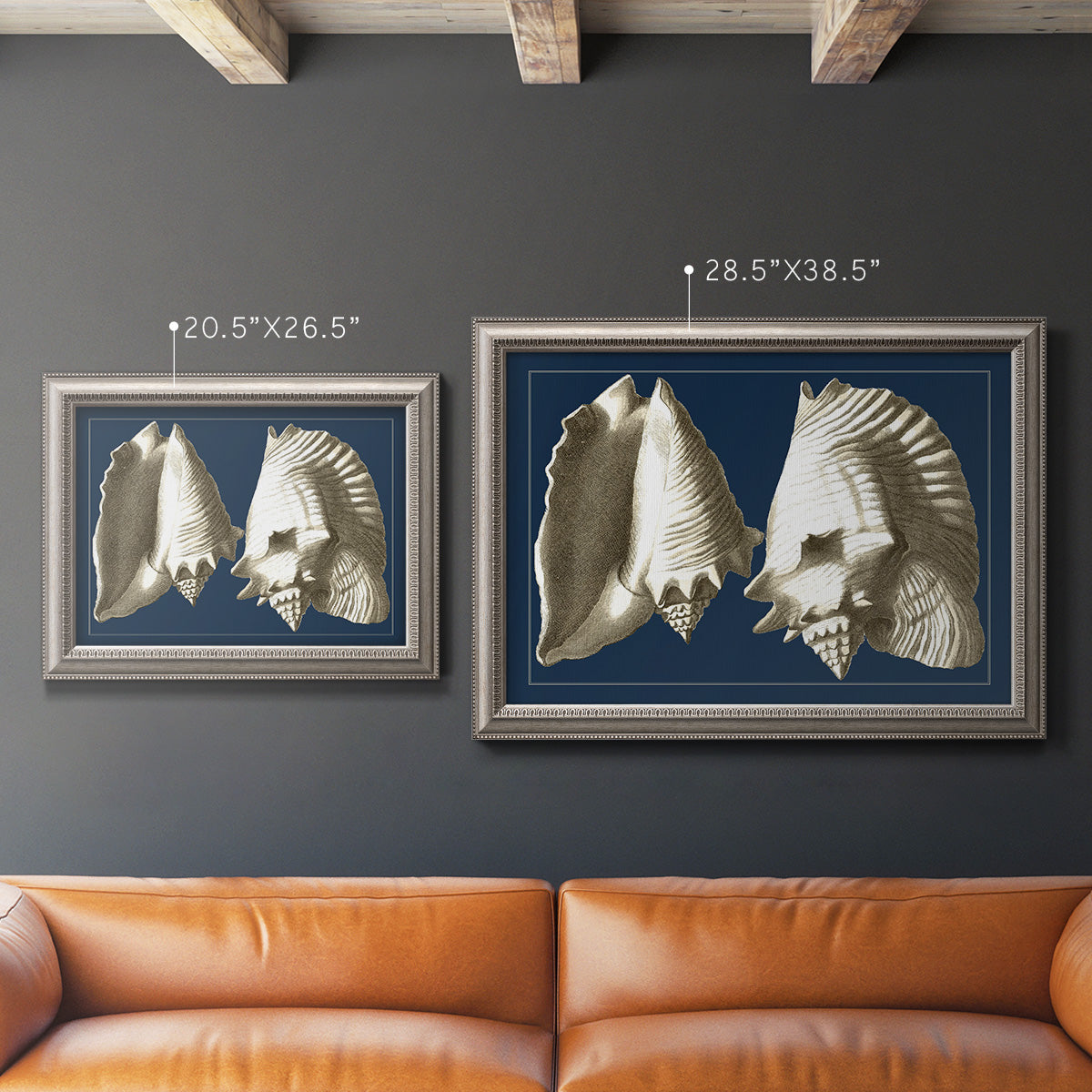 Vintage conch shell illustration on navy background in an ornate vintage silver frame shown in multiple size options.
