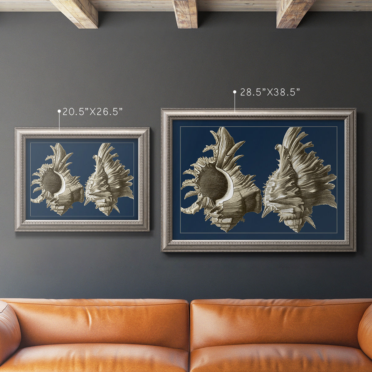 Vintage nautical conch shell artwork on navy background in an ornate vintage silver frame shown in multiple size options.