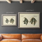 Antique fish species illustration diagram in an ornate vintage silver frame shown in multiple size options.