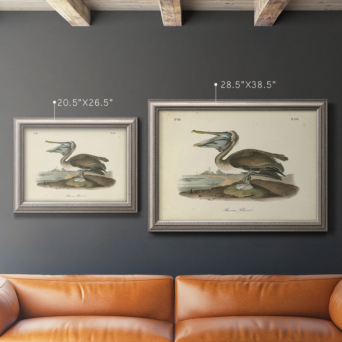 Antique brown pelican bird illustration by John James Audubon in an ornate vintage silver frame shown in multiple size options.