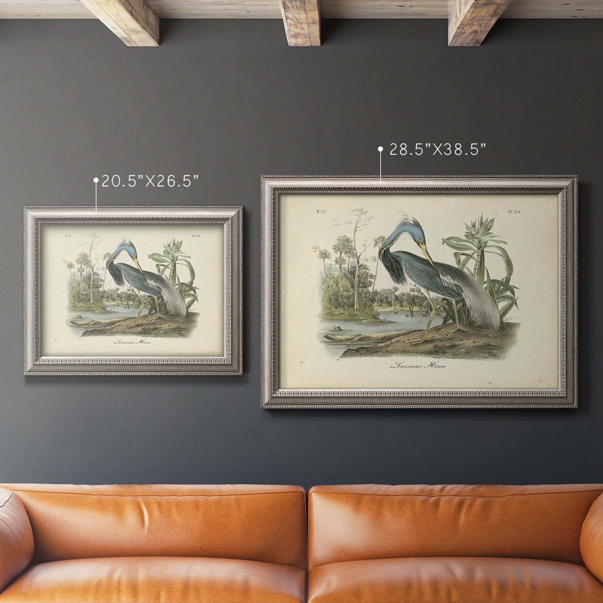 Antique Louisiana heron bird illustration by John James Audubon in an ornate vintage silver frame shown in multiple size options.