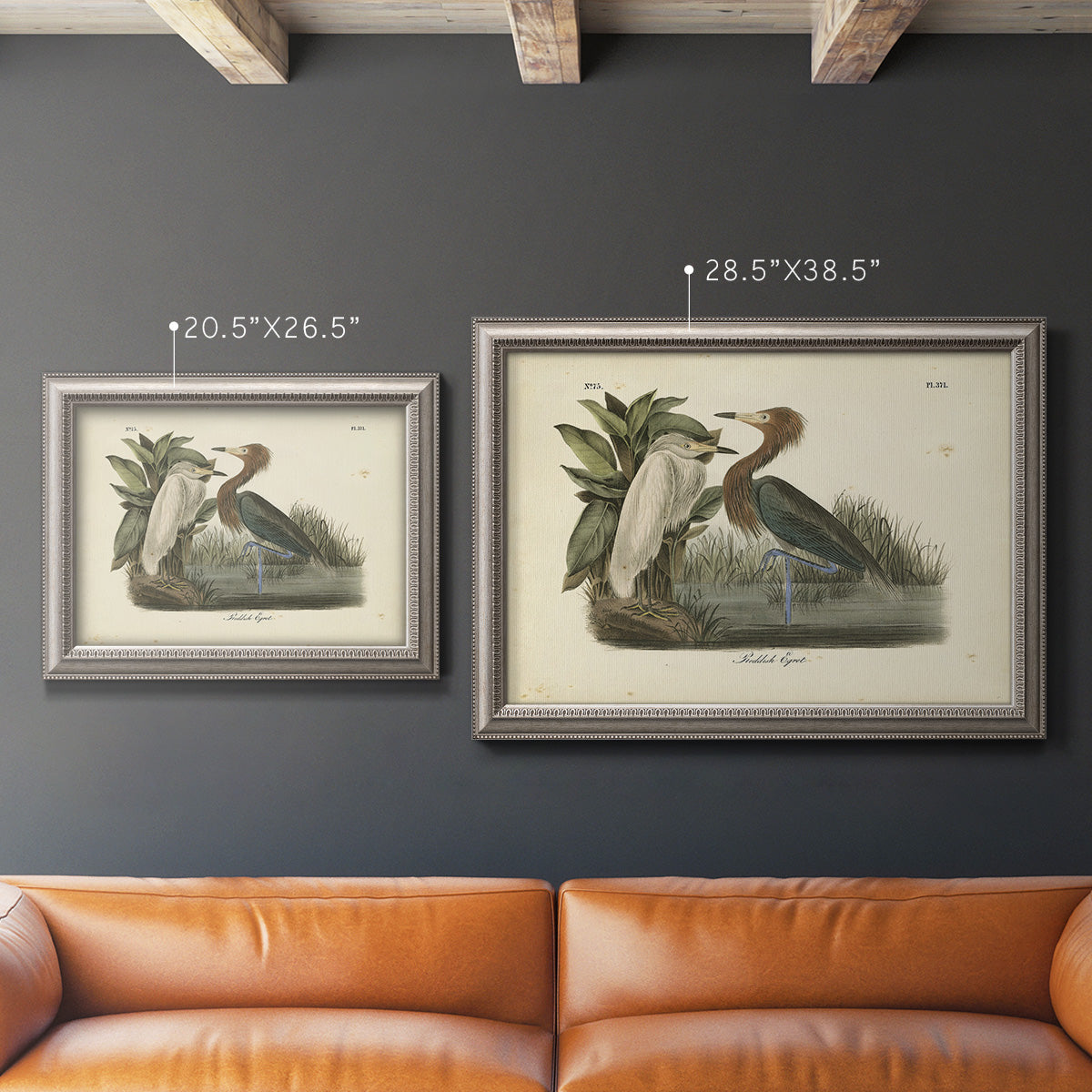 Antique reddish egret bird illustration by John James Audubon in an ornate vintage silver frame shown in multiple size options.