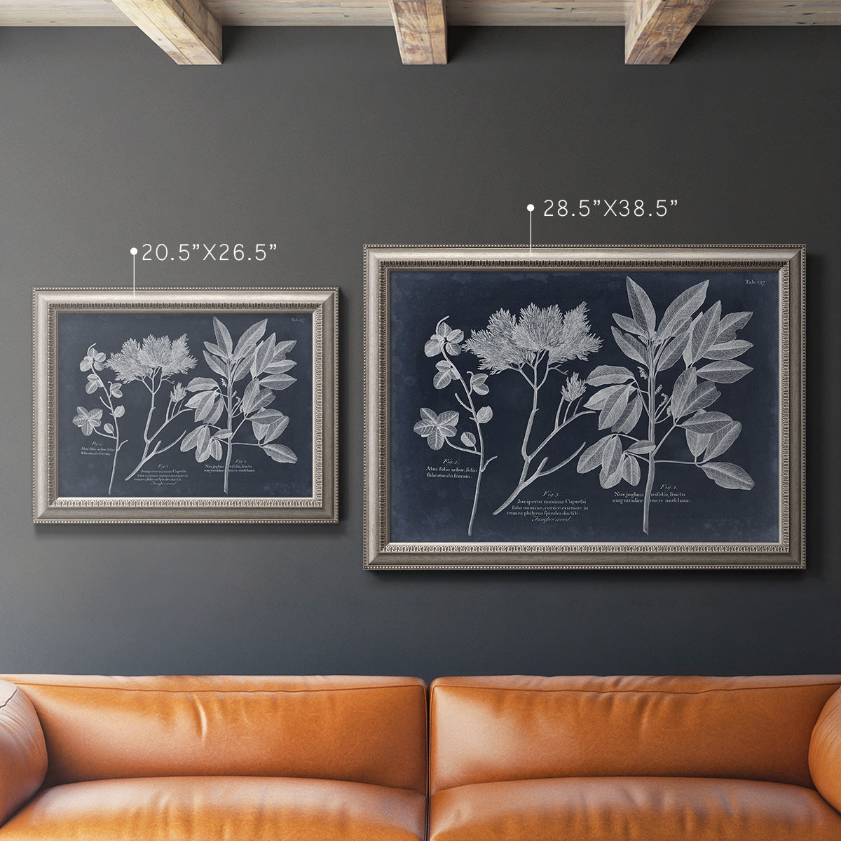 Vintage botanical leaf illustration on dark background in an ornate vintage silver frame shown in multiple size options.