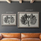 Monochrome botanical plant study photograph by Karl Blossfeldt in an ornate vintage silver frame shown in multiple size options.