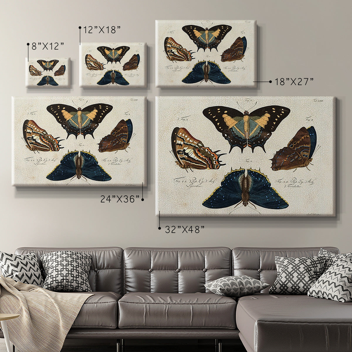 Crackled Butterflies IV - Canvas Art Print