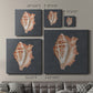 Shell on Slate IX - Canvas Art Print