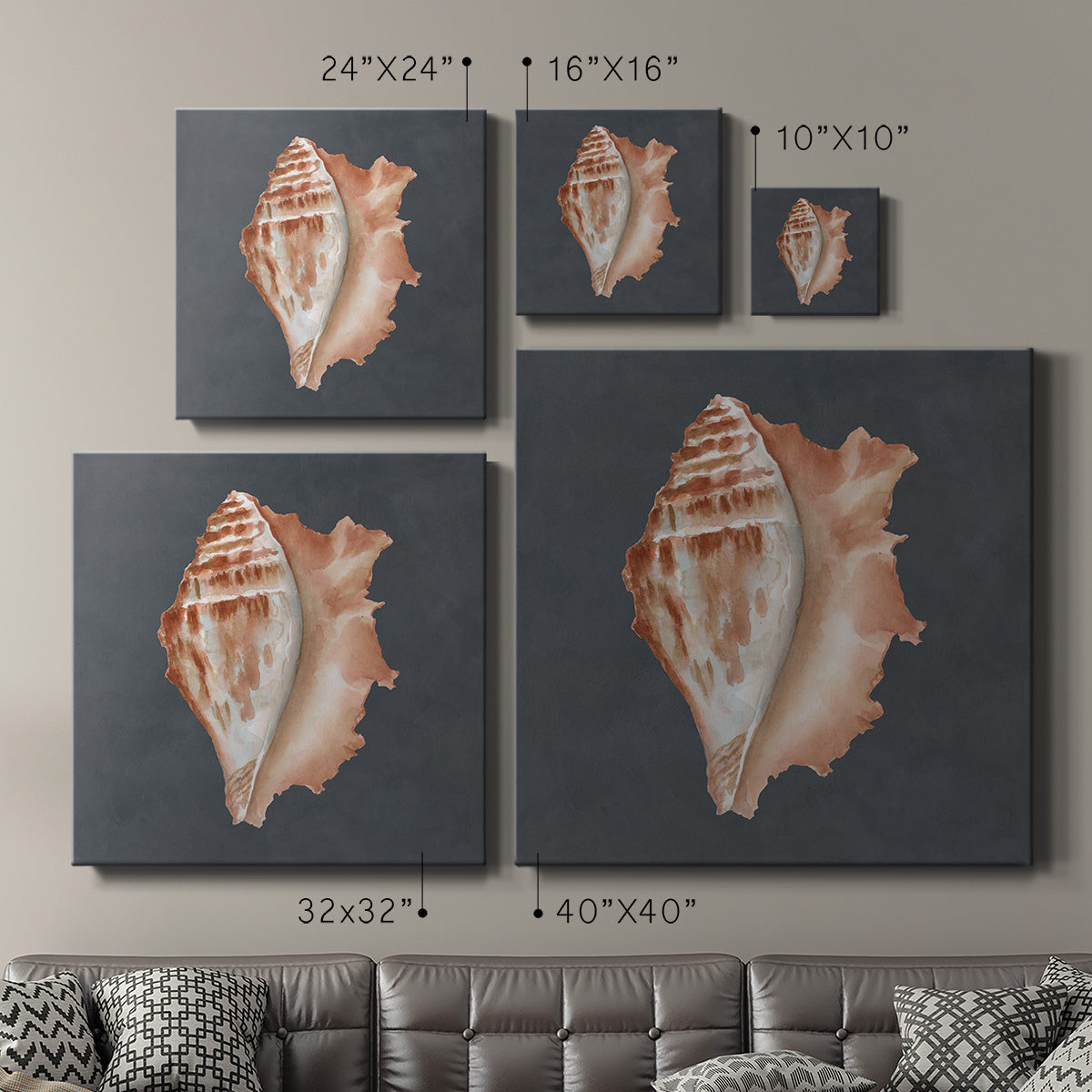 Shell on Slate IX - Canvas Art Print