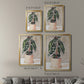 Potted Houseplant I - Modern Framed Canvas Print