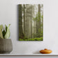 Summer Forest II Premium Gallery Wrapped Canvas - Ready to Hang