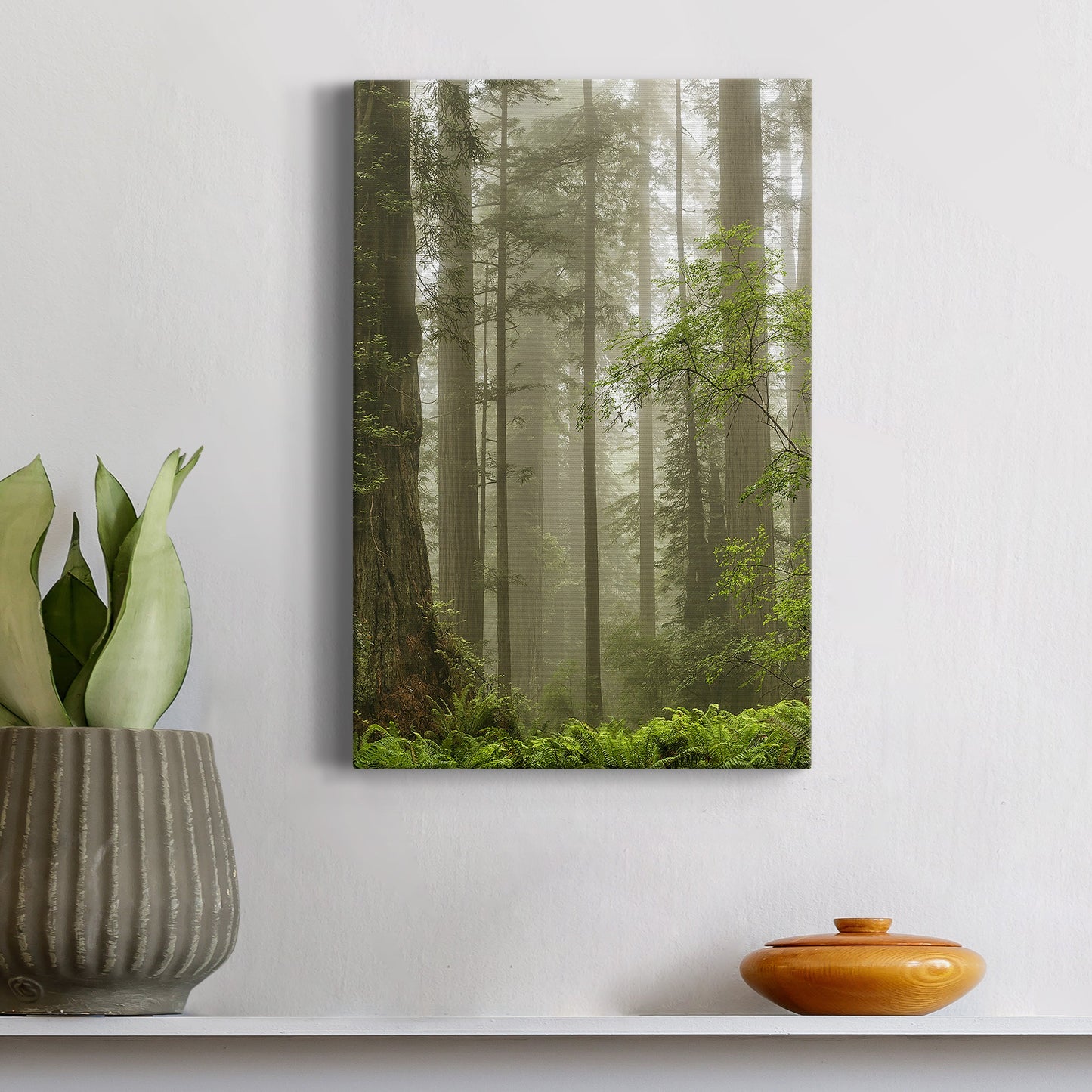 Summer Forest II Premium Gallery Wrapped Canvas - Ready to Hang