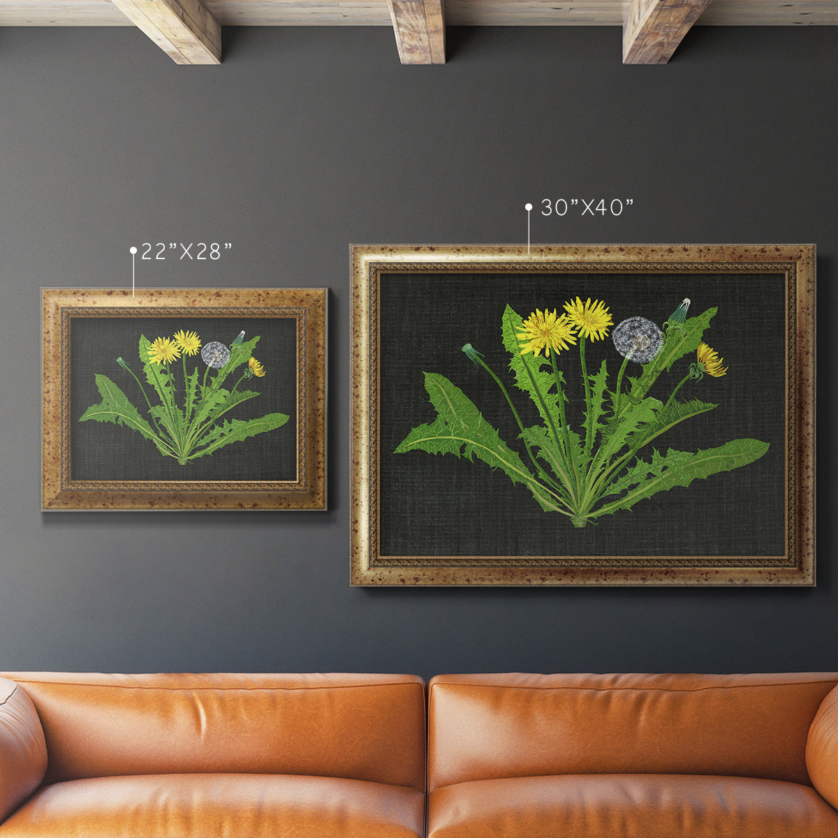 Wild Dandelion II Premium Framed Canvas- Ready to Hang