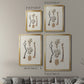 Knorr Shells & Coral V - Modern Framed Canvas Print