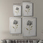 Botanical Beauty II - Modern Framed Canvas Print