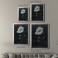 Country Botanical II - Modern Framed Canvas Print