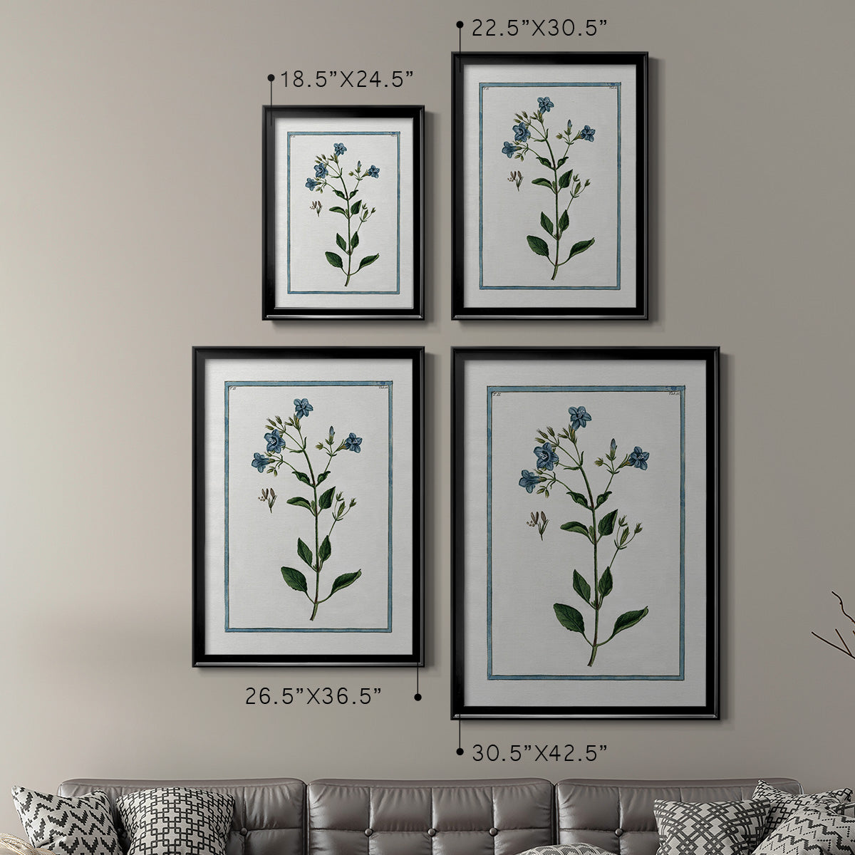 Shabby Chic Botanical II - Modern Framed Canvas Print