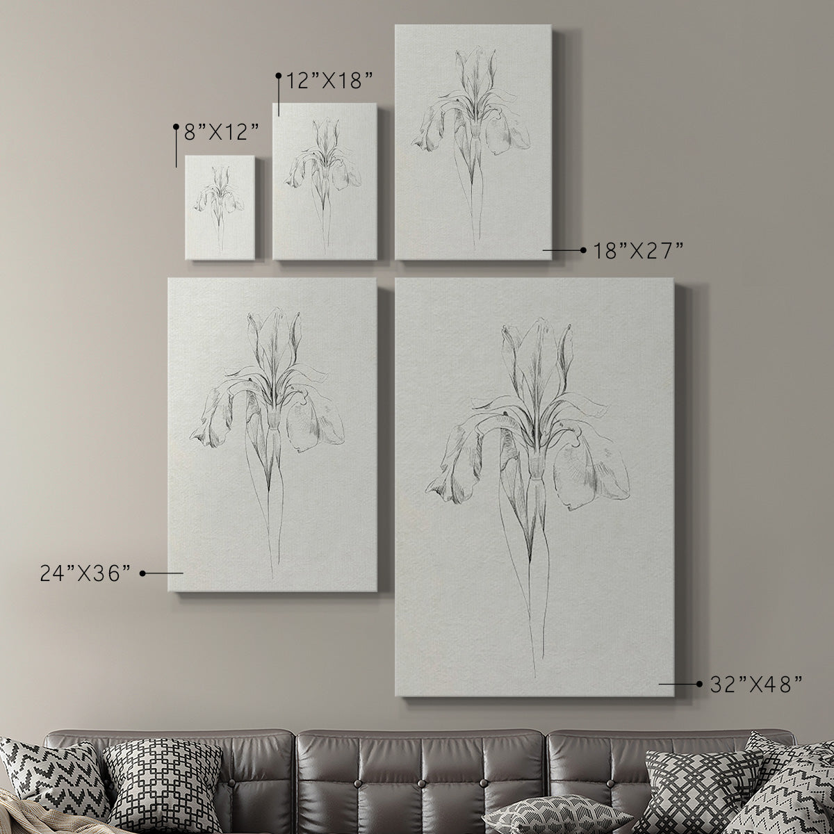 Neutral Iris Sketch I - Canvas Art Print