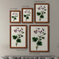 Size comparison chart for a set of two maple barnwood framed canvas prints.