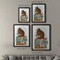 Red Squirrel On Mushroom - Modern Framed Canvas Print