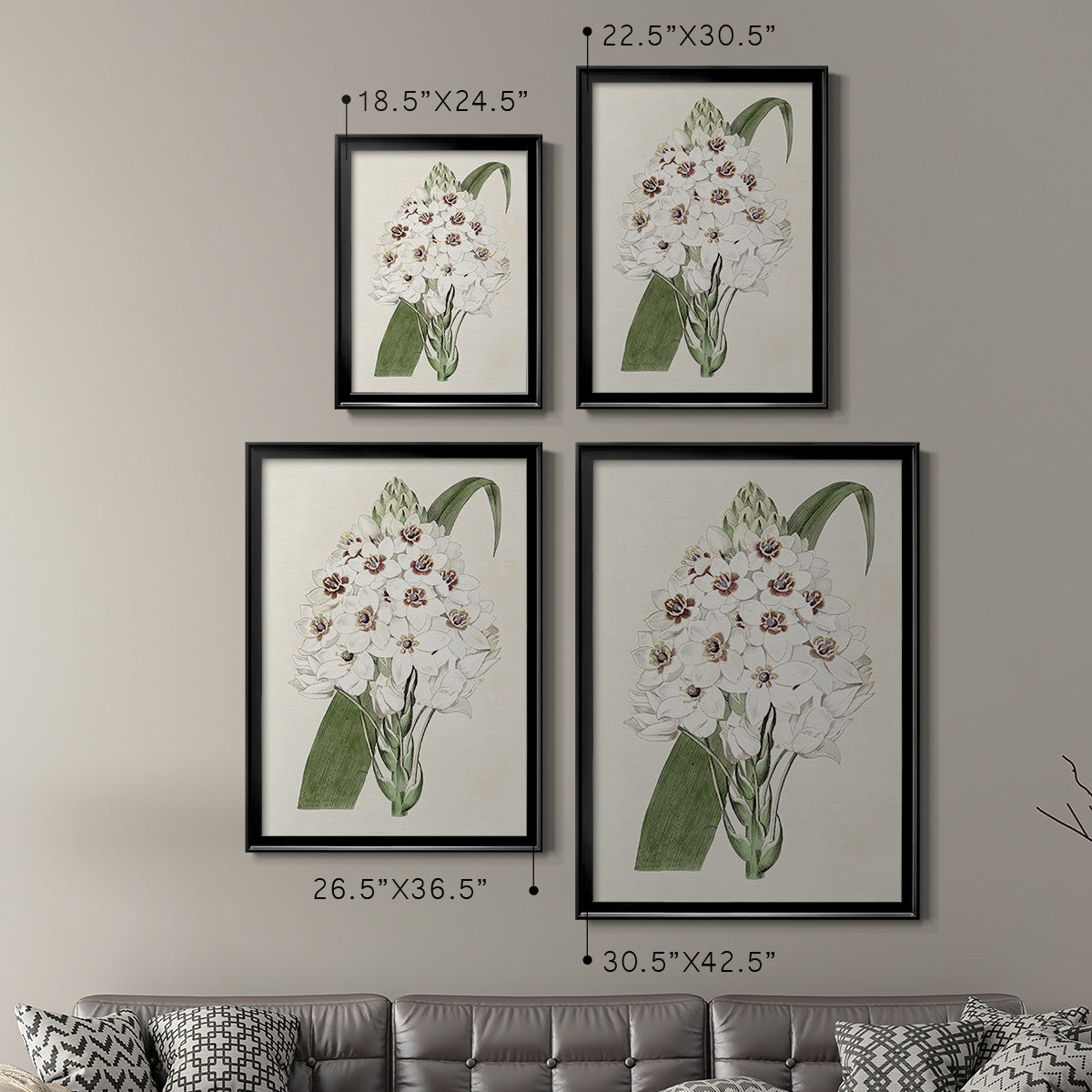 Flore Albo II - Modern Framed Canvas Print