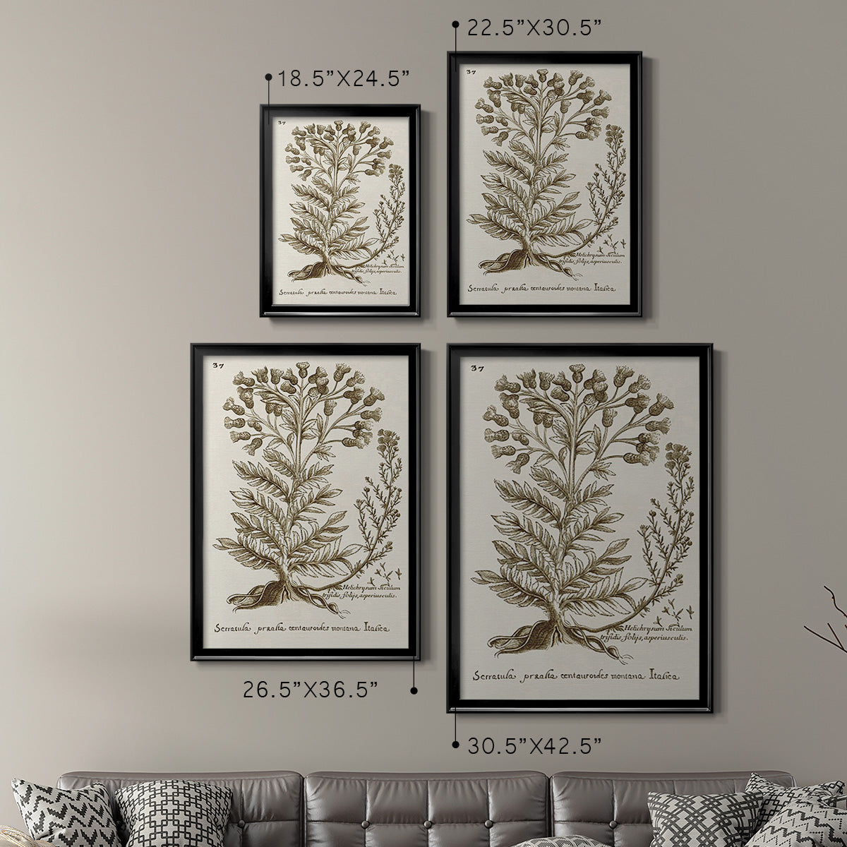 Sepia Botanical Journal I - Modern Framed Canvas Print