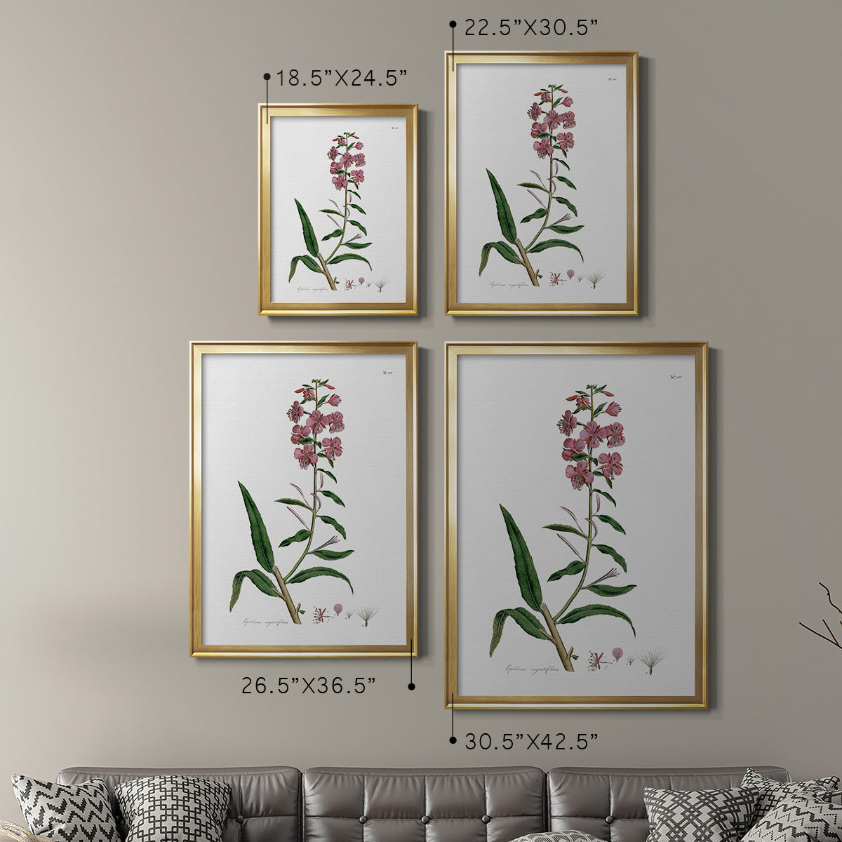 Rose Botanical I - Modern Framed Canvas Print