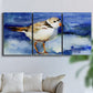 Three-panel canvas wall art featuring shorebirds standing in shallow water, displayed in a living room above a sofa.