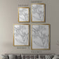 Botanical Sketch II - Modern Framed Canvas Print