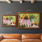 Echinacea Study II Premium Framed Canvas- Ready to Hang