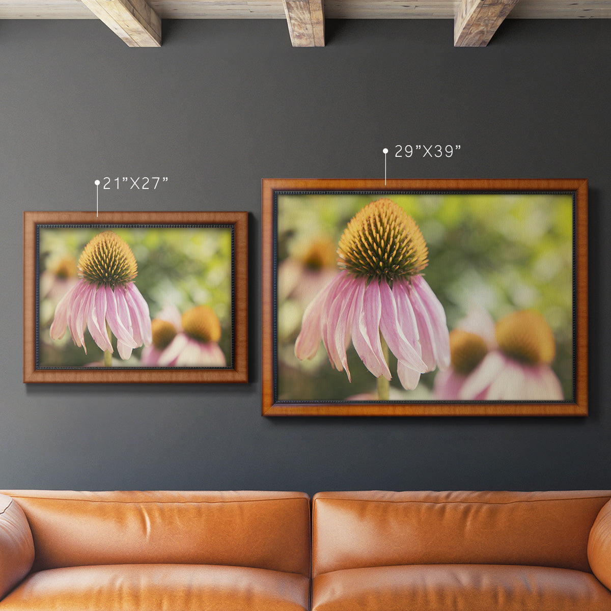 Echinacea Study II Premium Framed Canvas- Ready to Hang