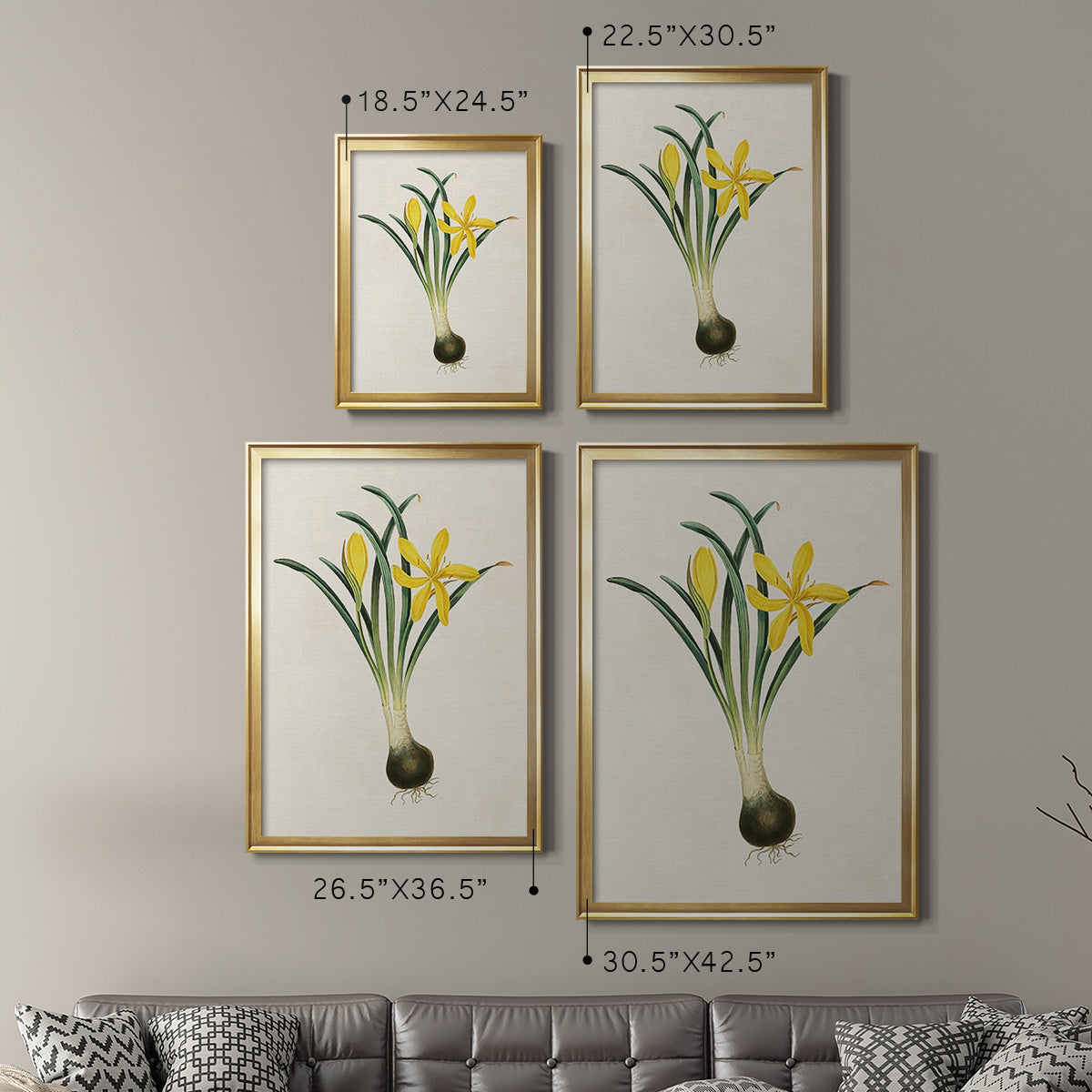 Flowers of the Seasons VI - Modern Framed Canvas Print