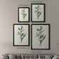 Flowers of the Seasons V - Modern Framed Canvas Print