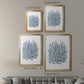 Summer Herb Garden Sketches III - Modern Framed Canvas Print