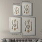 Knorr Shells & Coral V - Modern Framed Canvas Print