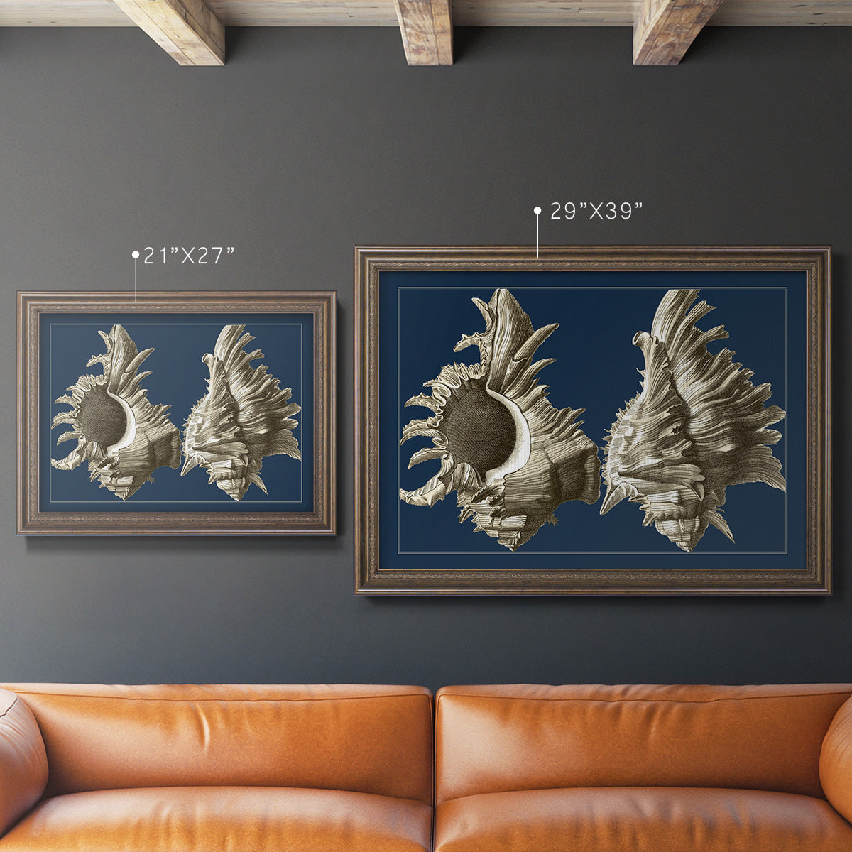 Conch Shells on Navy II Premium Framed Canvas- Ready to Hang